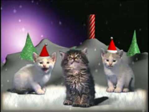 Youtube: Weihnachtsmusik mit  Katzen.