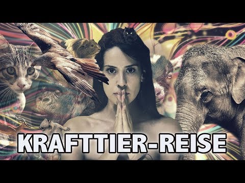 Youtube: Meditation: Finde dein Krafttier | Schamanische Reise | Krafttierreise