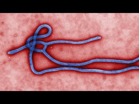 Youtube: Ebola-Epidemie ausgebrochen!