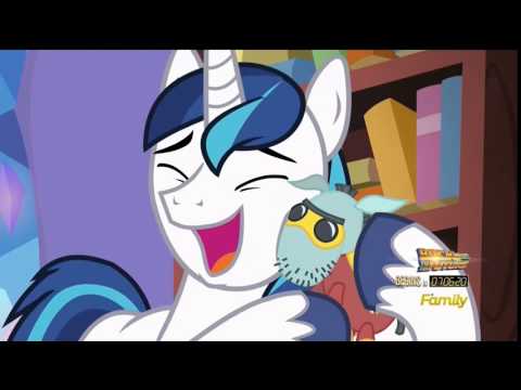 Youtube: Shining Armor's Nerdgasm Reaction