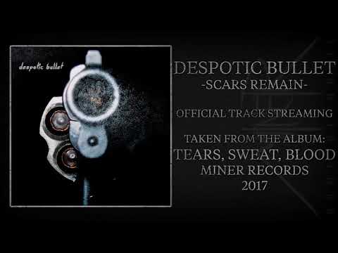 Youtube: Despotic Bullet  - "Scars Remain" (Official Audio)