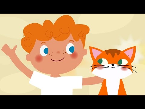 Youtube: Kinderlieder - ein lustiges Lied für Kinder "Katze".