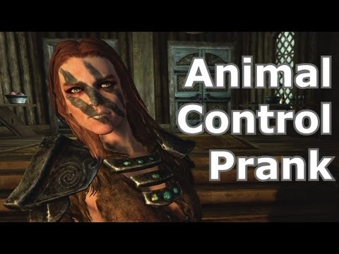 Youtube: Aela Calls Animal Control - Skyrim Prank Call