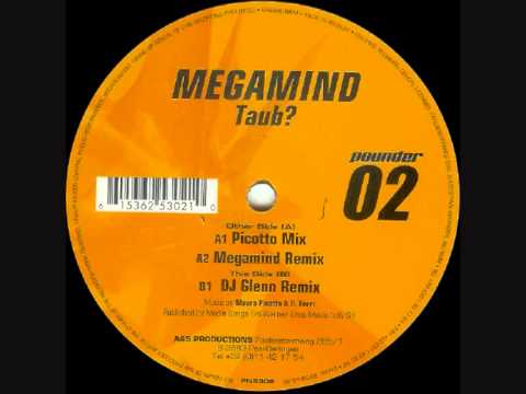 Youtube: Megamind - Taub (Picotto Mix)