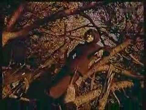 Youtube: Alexandra - Zigeunerjunge 1967