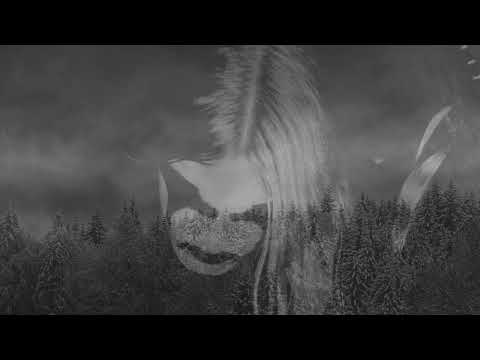 Youtube: Bergthron - "Durch den Nebel der Finsternis" (official lyrics video)