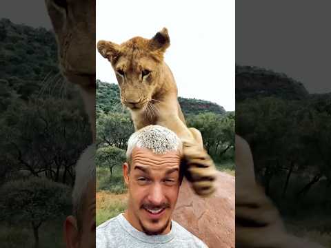 Youtube: Schreib eine Bildunterschrift dazu!