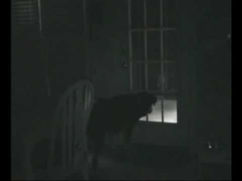 Youtube: Ghost Caught by dog real must see