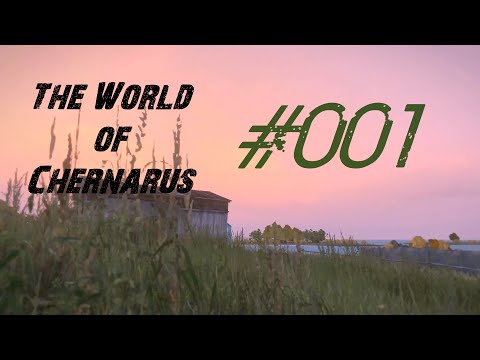 Youtube: Hörspiel [DayZ] | The Kiwi | [HD+] Part #001 - Gefahren bei Nacht