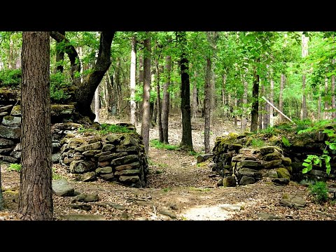 Youtube: Der Heidenschuh im Pfälzer Wald