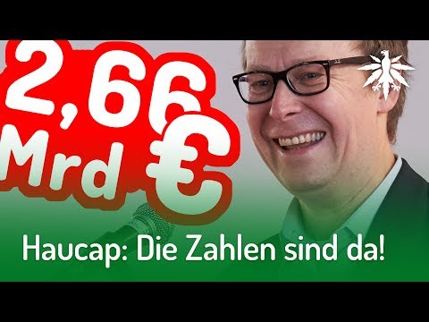 Youtube: Haucap: Die Zahlen sind da! | DHV-News #184