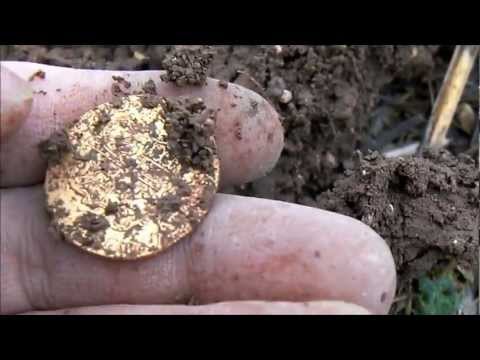 Youtube: First Dig of 2013 and Gold pops up.