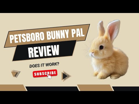 Youtube: Petsboro Bunny Pal Bewertung | Betrug oder seriöses Roboterhaustier?