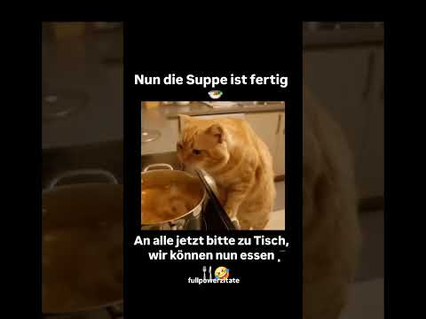 Youtube: Maus in der Suppe – würdet ihr weiteressen oder sofort flüchten?🤣🤣 #memes #bier #meme #heftig #fun