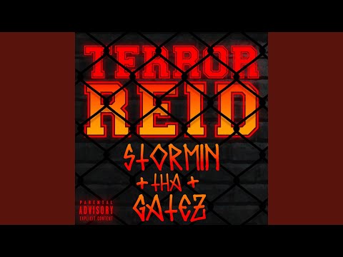 Youtube: Stormin tha Gatez