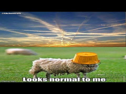 Youtube: ★ CHEMTRAILS REGENWASSERANALYSE MIT ERSCHRECKENDEM ERGEBNISS ★
