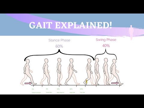 Youtube: Gait Range of Motion Animation