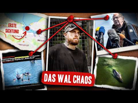 Youtube: Was beim Ostsee-Wal wirklich schief lief.. | KUNI