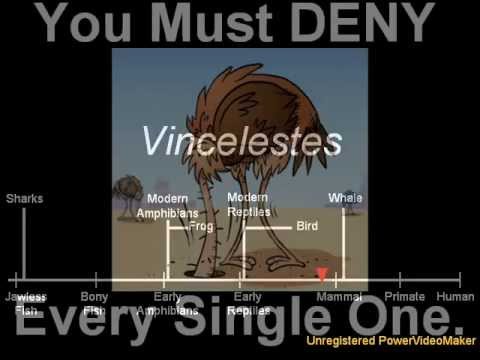 Youtube: What Every Creationist Must DENY