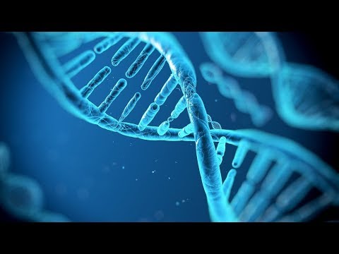 Youtube: [HD] Gene ohne Grenzen - China erobert die DNA-Forschung (Doku)