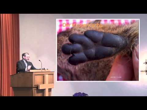 Youtube: Roger Liebi: "Die Bedeutung der reinen und unreinen Tiere" (3. Mose 11) (Predigt)