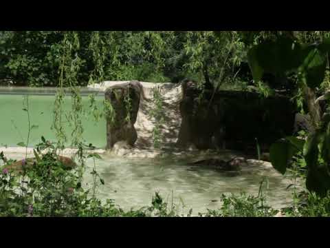 Youtube: Tierpark Hagenbeck in Hamburg 14.06.2021