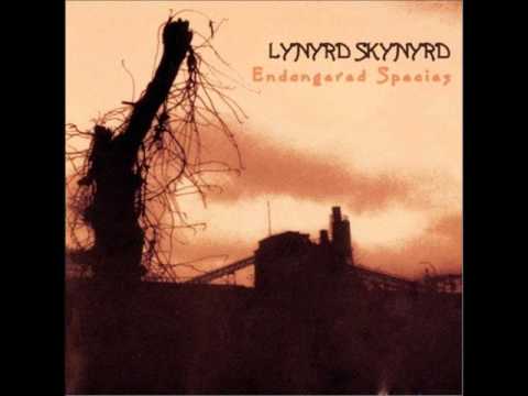Youtube: Lynyrd Skynyrd   Heartbreak Hotel