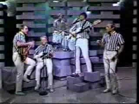 Youtube: the beach boys barbara ann live