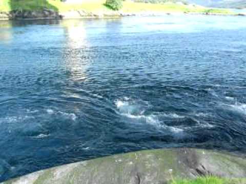 Youtube: Tide am Saltstraumen 09.08.2010