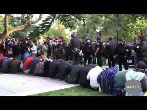 Youtube: UC Davis Protestors Pepper Sprayed