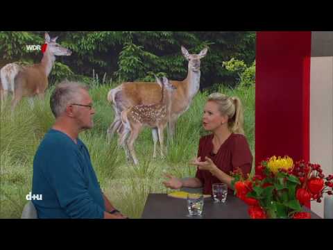 Youtube: Das Wider der Jagd WDR daheim und unterwegs