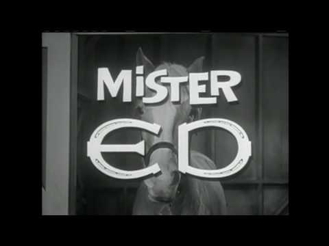 Youtube: Mr. Ed Theme