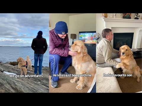 Youtube: Dog And The Dad Who Didn't Want One