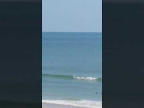 Youtube: August 16, 2020 UFO Sighting Capture in Volusia County, Florida, US