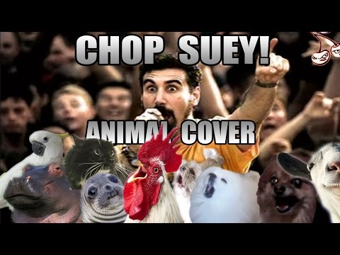 Youtube: System Of A Down - Chop Suey! (Animal Cover)