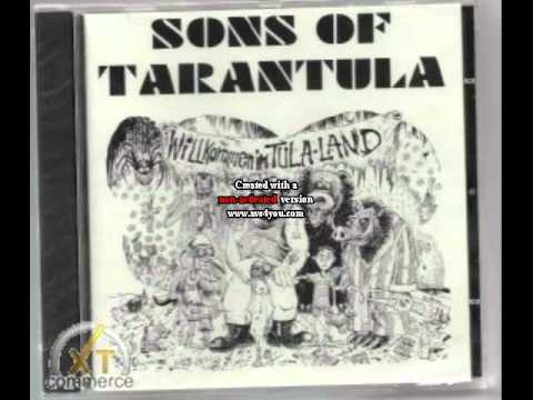 Youtube: Sons of Tarantula - Hitz mit Witz - Pimmel raus im Frauenhaus