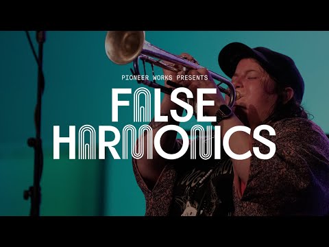 Youtube: False Harmonics 6: Jaimie Branch's Fly Or Die