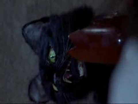 Youtube: cat fight (scary movie 2)