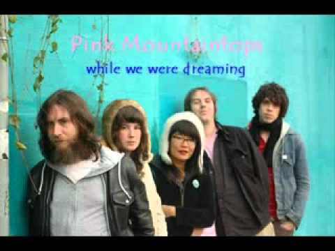 Youtube: Pink Mountaintops - While we were Dreaming lyrics