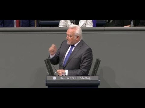 Youtube: Bundestagsdebatte um Yücel: „Intellektuell erbärmlich“ - Kubicki liefert sich Schlagabtausch mit AfD