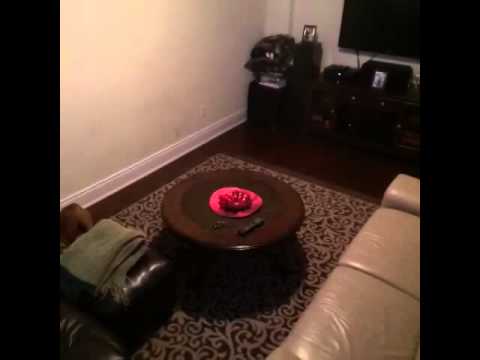 Youtube: amazing footage of a ghost caught on camera!