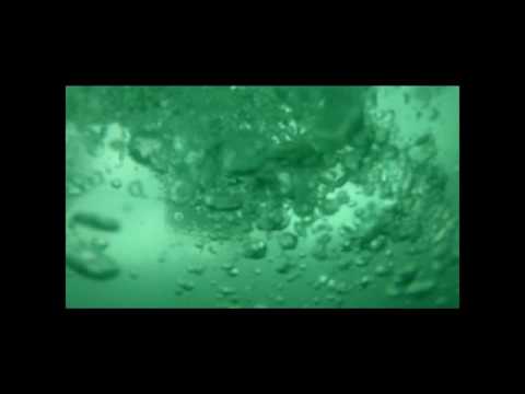Youtube: Actioncup   Der Unterwasserwald von Hartmannsdorf