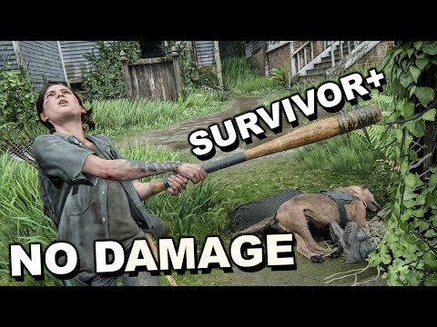 Youtube: The Last of Us 2 - "WLF & DOGS" Ellie Aggressive Gameplay (Survivor+ / No Damage)