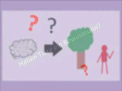 Youtube: Rätsel des Bewusstseins