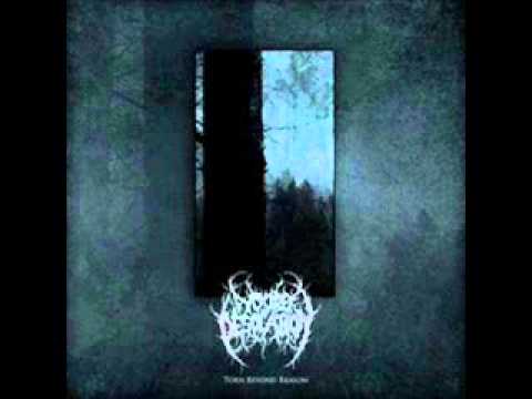 Youtube: Woods of Desolation - Torn Beyond Reason