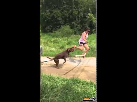 Youtube: Frauchen und ihr Hund fallen hin