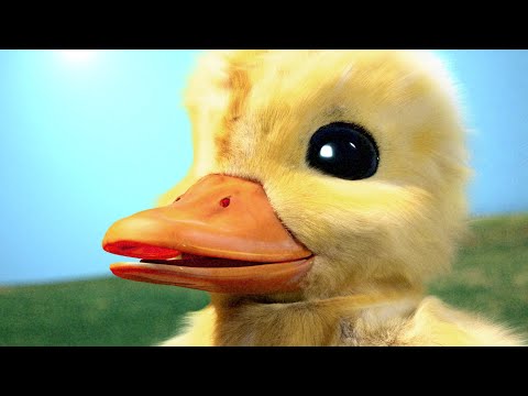 Youtube: The Duck Song IRL