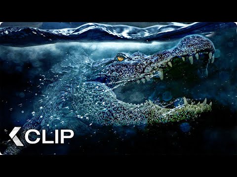 Youtube: Alligator Angriff - CRAWL Clip & Trailer German Deutsch (2019) Exkusiv