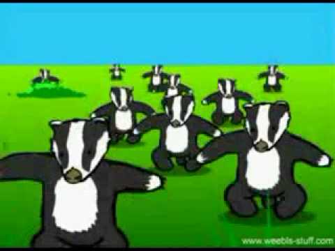 Youtube: badger song
