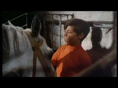Youtube: Heintje - Mamatschi schenk' mir ein Pferdchen 1969